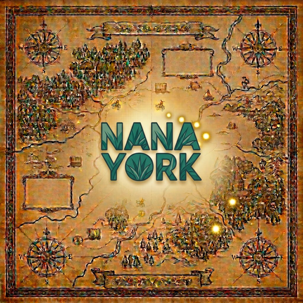 Tour Operadoras nana york